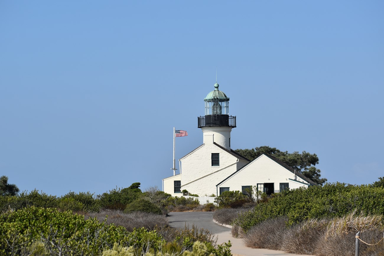 A gray, winding road separating green and brown hedges meet a white, unlit lighthouse and a flagpole with a raised American flag, all under a cloudless blue sky.