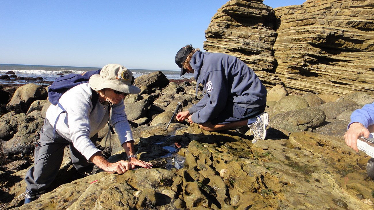Two people crouch close to the tidepools during a low tide to take various measurements in between the grooves of the ground. In the distance, gentle waves crash on the shore underneath a cloudless, blue sky.