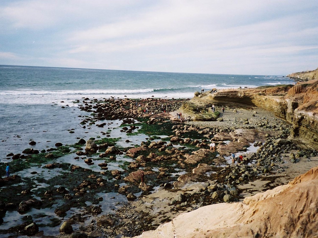Low Tide