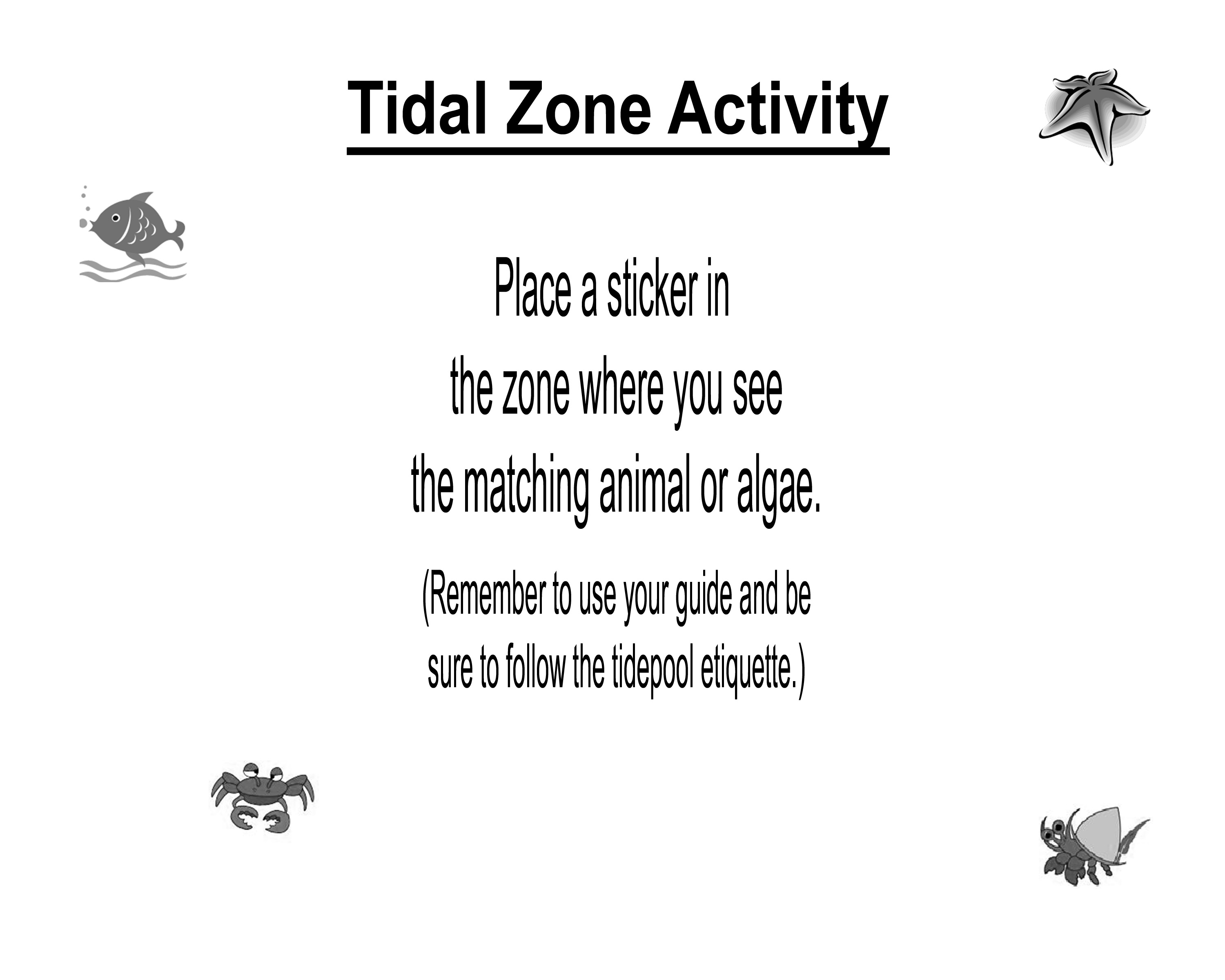 Description of how to use the Tidal Zone Activity