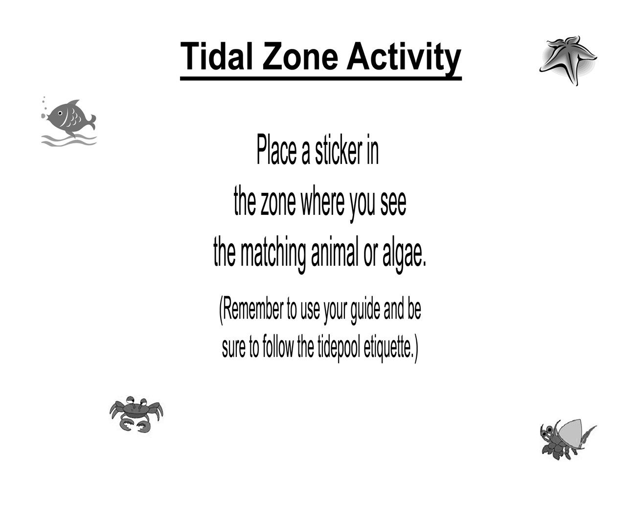 Description of how to use the Tidal Zone Activity