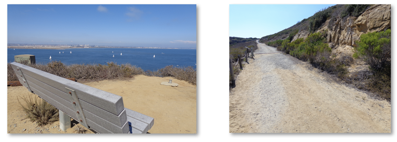 Benches along the Bayside Trail