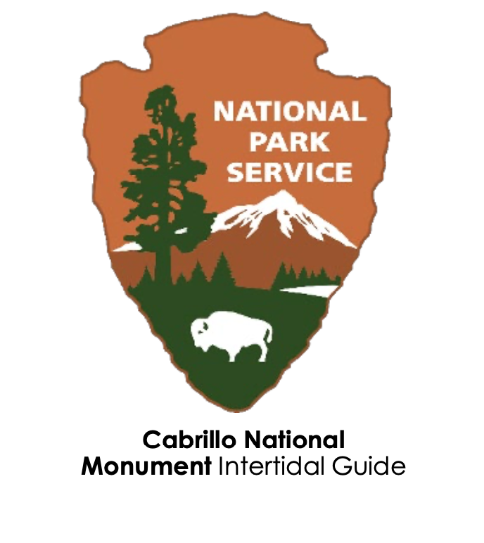 NPS Arrowhead with title Cabrillo National Monument Intertidal Field Guide