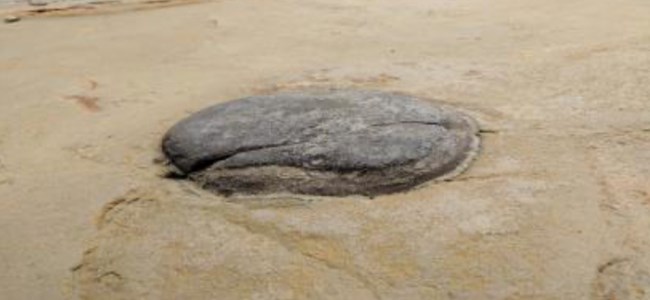 Photo showing a geologic concretion example