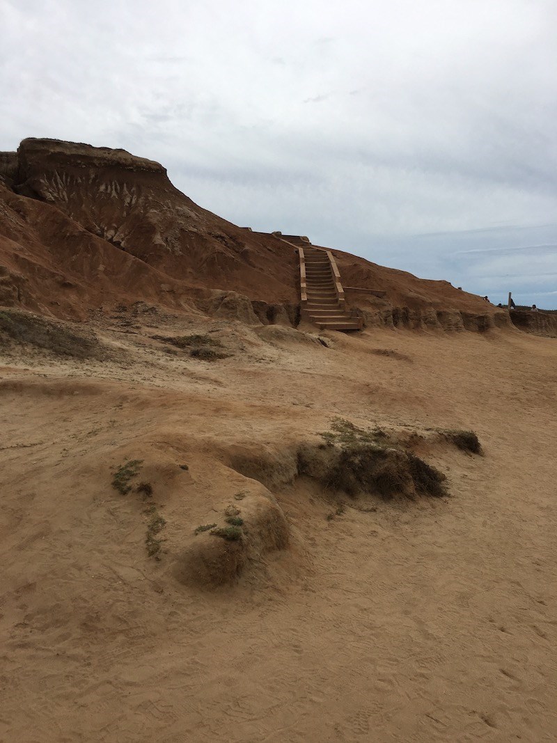 The hill informally known as the hump, along the Coastal Trail