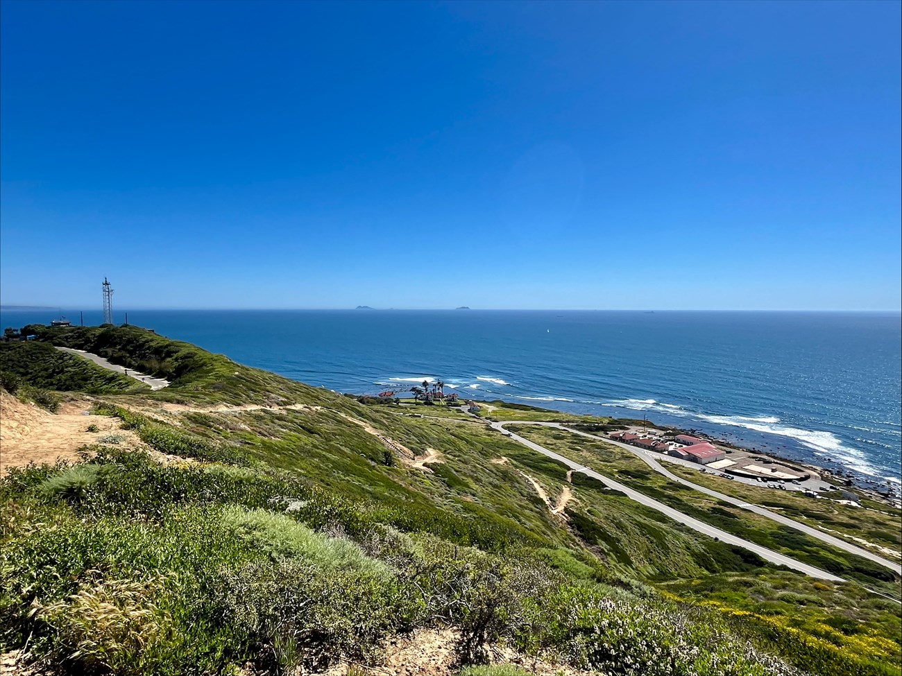 Hillside with low green vegetation overlooking the ocean.