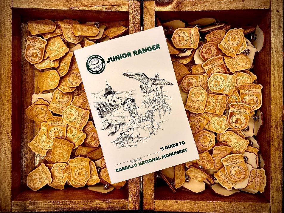 Junior Ranger booklet surrounded by wooden Junior Ranger badges.