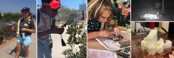 Banner of 5 photographs: girl holding antennae and plush rattlesnake; girl taking picture of plant; girl building circuit; fox lying on its side; 3D-printed octopus.