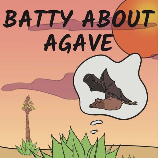 A drawing of a bat flying over a spiky plant. Text says Batty About Agave