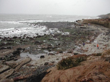 Tidepools at Cabrillo National Monument