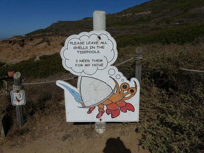 A sign with a drawing of a crab. The sign reads “Please leave all shells in the tidepools. I need them for my home.”.