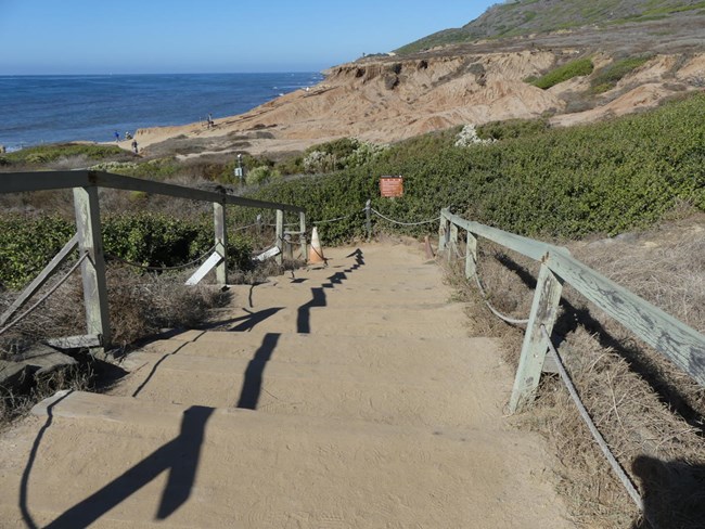 Stairs along a dirt path with low lying shrubs at the bottom of the stairs.