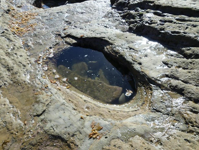 A bathtub sized pool of water in sandstone.