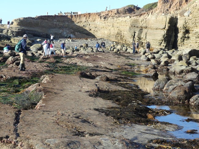 A rocky shoreline along sandstone cliffs. People are walking along the shoreline.