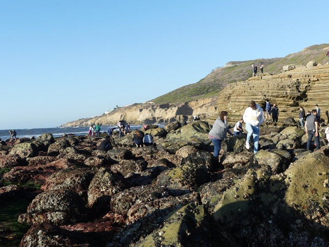 A rocky shoreline along sandstone cliffs. People are climbing over the boulders looking for tidepool critters.
