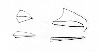 Image adapted from Audubon.org bird guide showing drawing of different type of beaks and/or bills