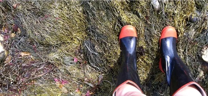 Intertidal “boots” safety image (NPS)