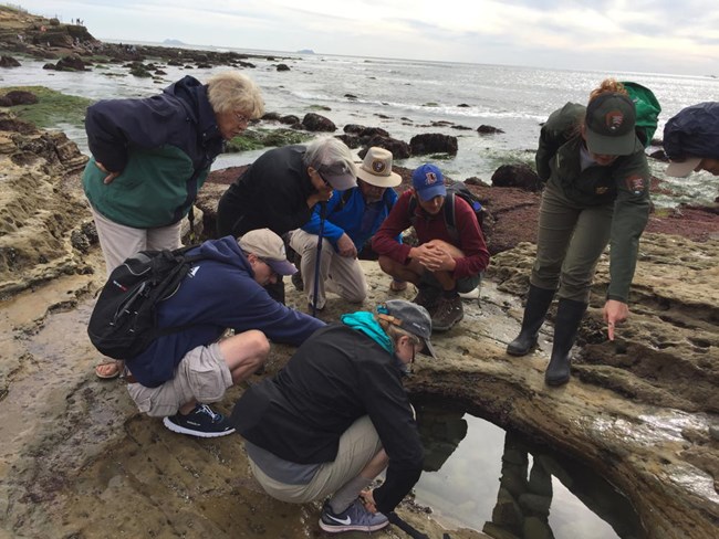 A group of people huddle around a pool of water in a depression in the sandstone. A ranger is pointing to something in the water.