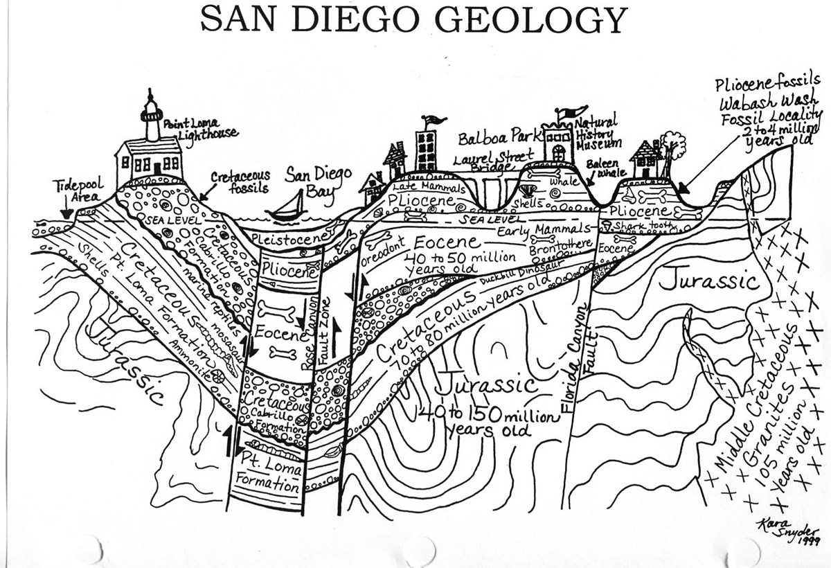 Cross_Section_Geology Cross_Section_Geology