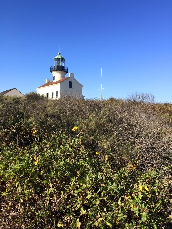 The white structure of Cabrillo National Monument’s Old Point Loma Lighthouse sits in the distant background against the backdrop of a clear blue sky. 