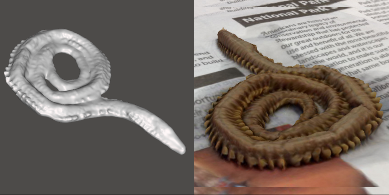 Photo showing 3d model of Marine Worm