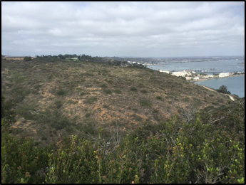 Native Plant Communities