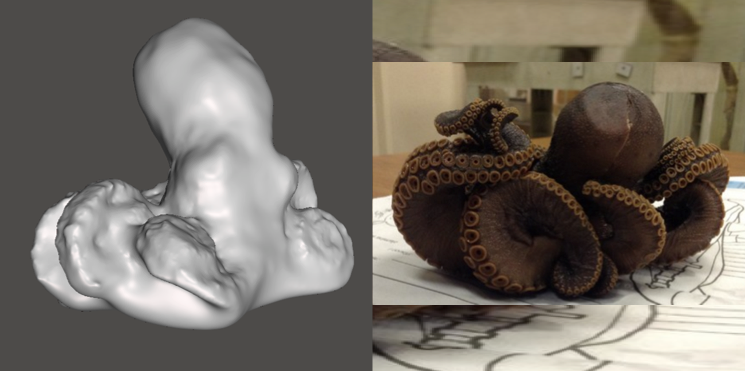 Photo showing 3d model of Octopus