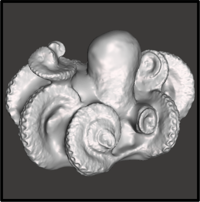 Octopus 3dmodel Photo showing 3dmodel of an octopus