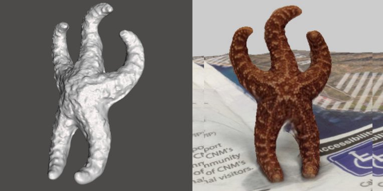 Photo showing 3d model of Sea Star