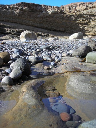 Tidepools at Cabrillo National Monument Tidepools at Cabrillo National Monument