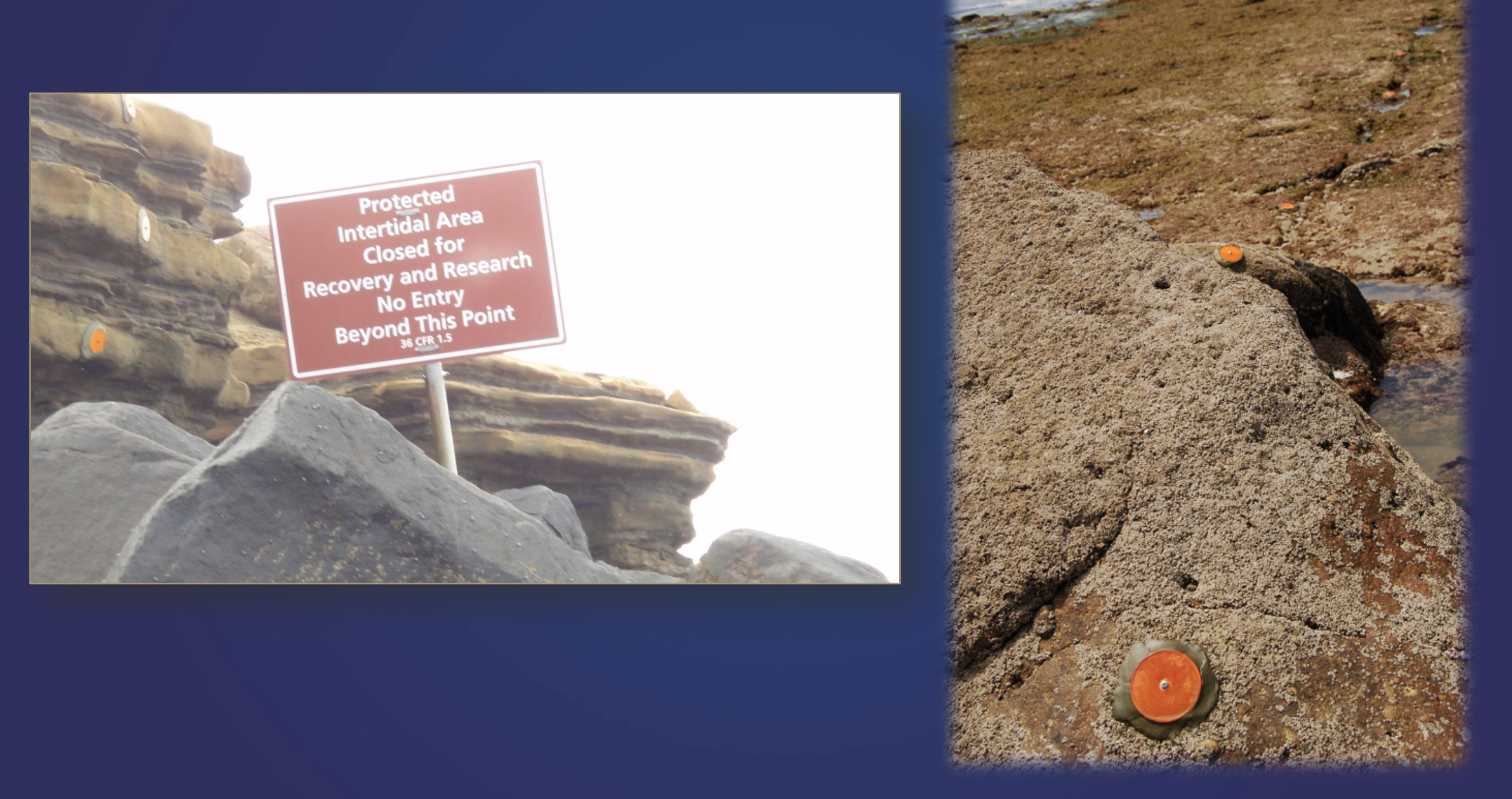 Two images, one showing a brown sign attached to rocks , and the other showing an orange reflective dot glued to the rock.