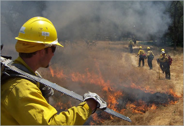 Fire crew