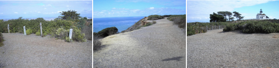 Mosaic of Event Bluff photos Mosaic of Event Bluff photos