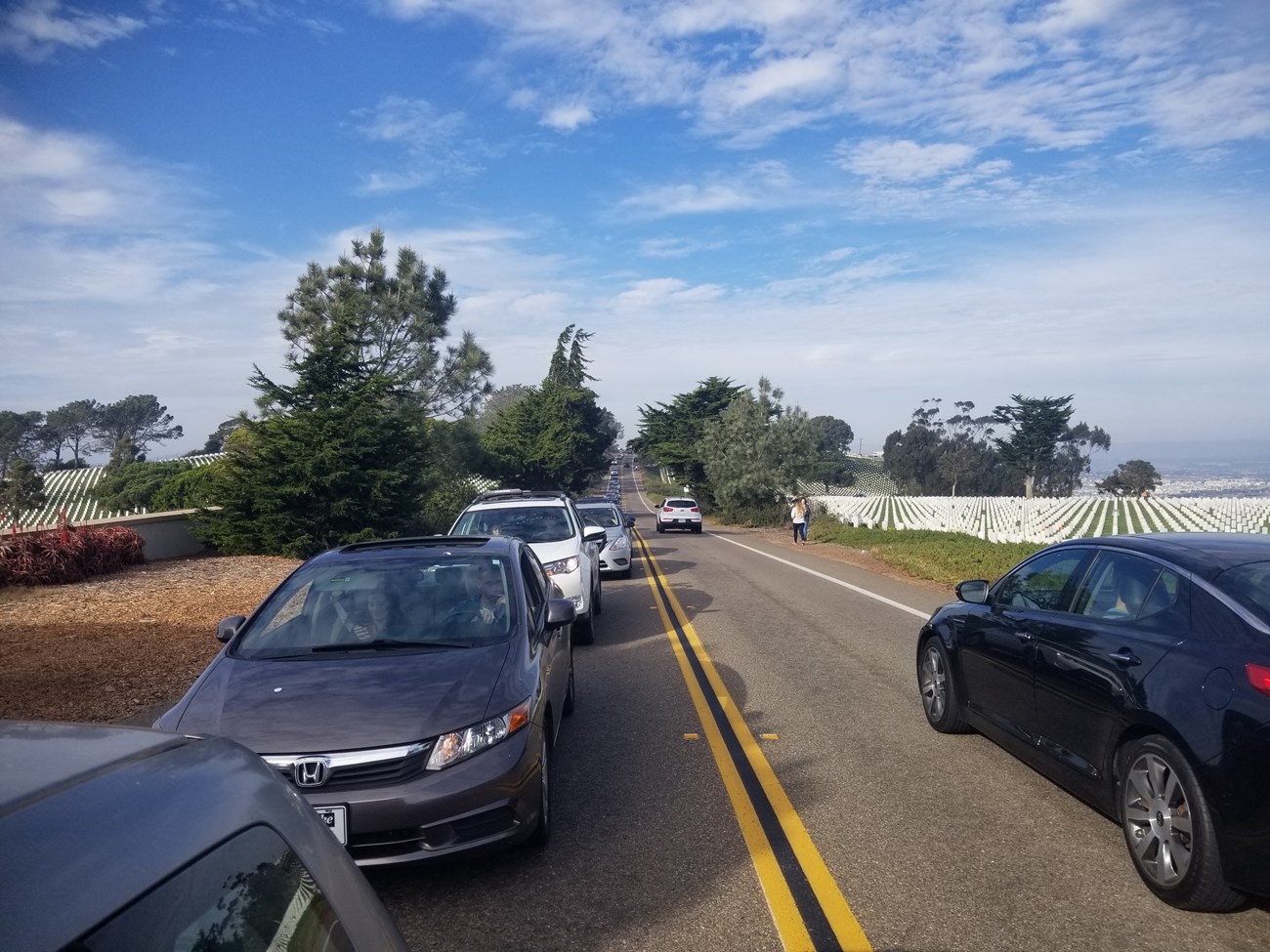 Dozens of cars stopped on a two-lane asphalt road. On both sides of the road hundreds of white gravestones are in rows.