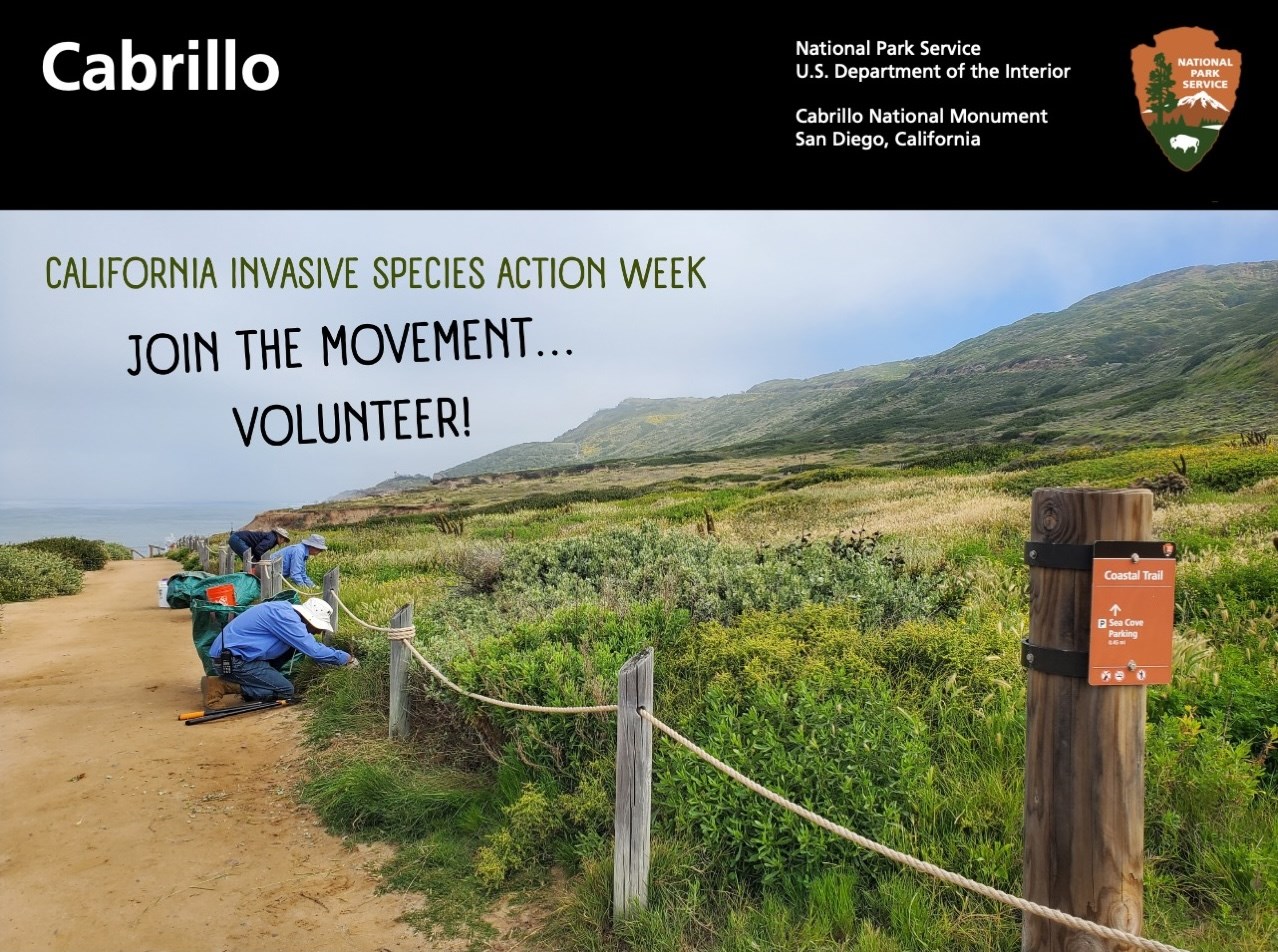 Photo of volunteers in long-sleeved shirts working by a brown sandy trail, with hearty green bushes on either side. The blue sky is overlaid with the message: “California Invasive Species Action Week. Join the movement...Volunteer!” Above the photo is the