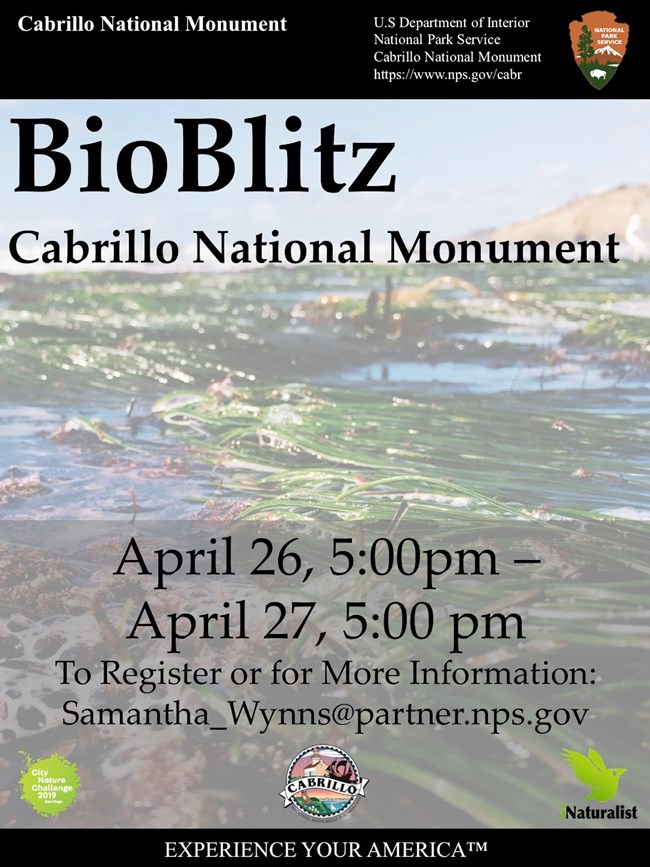 Poster announcing BioBlitz 2019 at Cabrillo