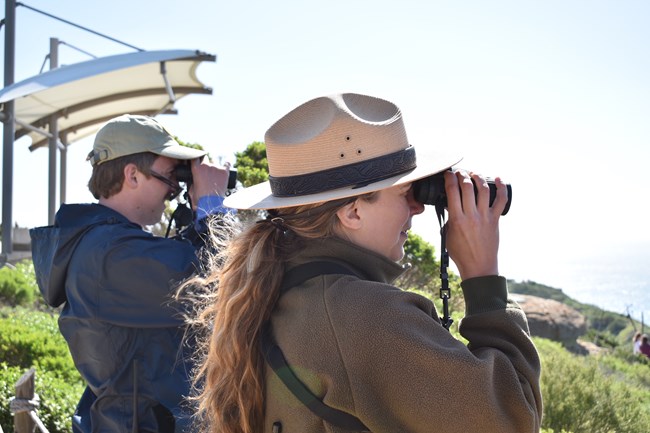A ranger in green with a tan flat hat stands next to a volunteer in a blue windbreaker and tan baseball cap. Both people look at the ocean through black binoculars.