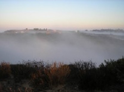 Fog Fog
