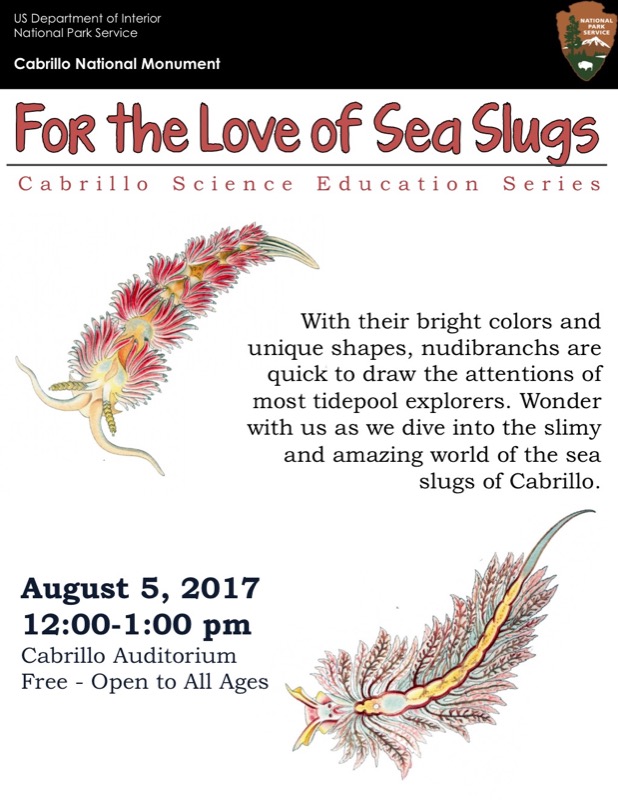 poster for For the Love of Sea Slugs talk