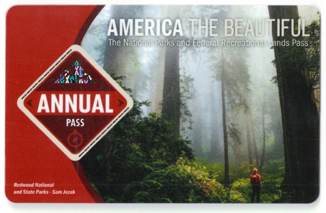 2021 Interagency Annual Pass. Depicts a lone hiker in mist surrounded by giant trees and dense greenery.