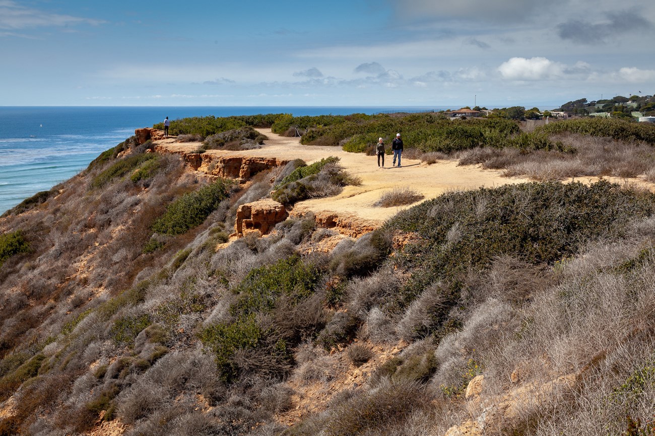 Event Bluff Overlook