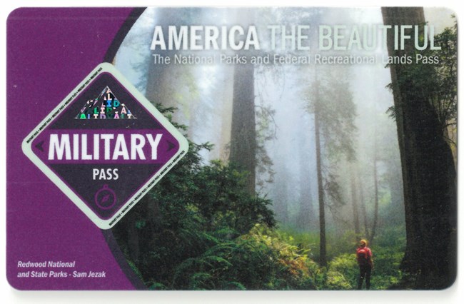 2021 Military Annual Pass. Depicts a lone hiker in mist surrounded by giant trees and dense greenery.