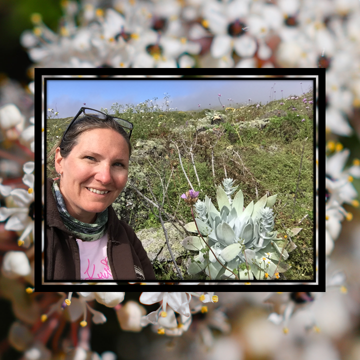 A smiling woman wearing a pink shirt, brown jacket, and with reading glasses on her head stands next to a large, chalky-green succulent. This image is overlaid on top of a close-up shot of a cluster of tiny white flowers with yellow anthers.