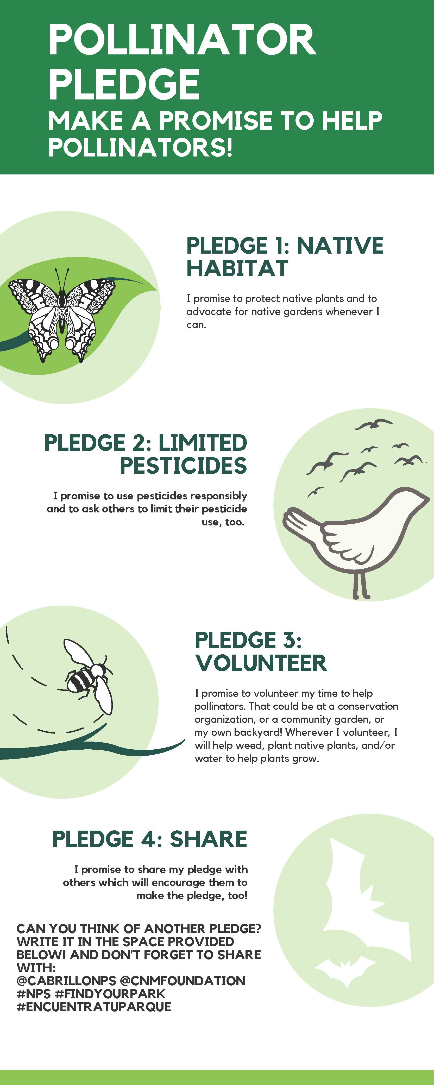 A flyer in green and white titled "Pollinator Pledge - Make a Promise to Help Pollinators!" with 3 action steps outlined - native habitat, limited pesticides, volunteer.