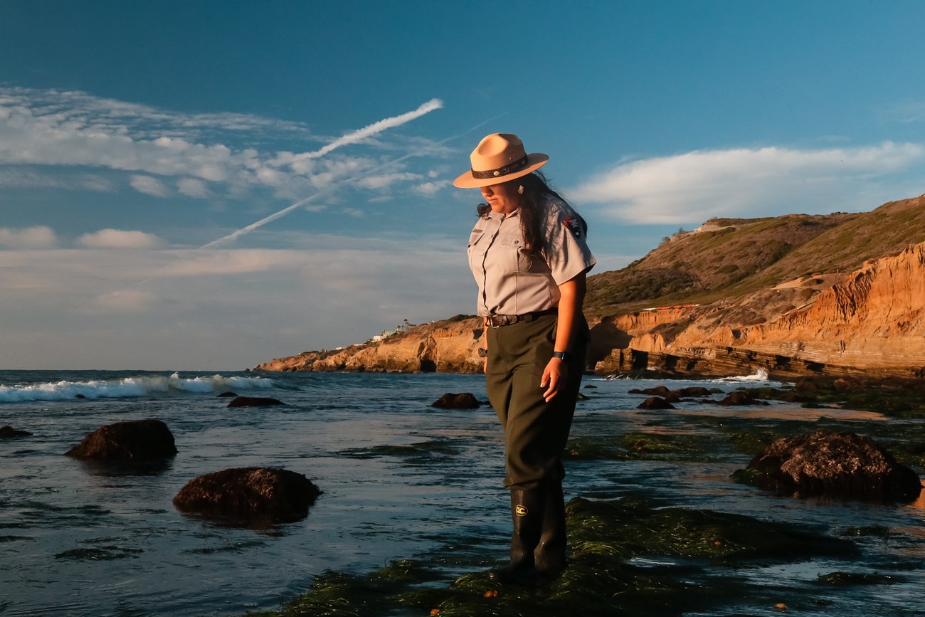 A park ranger stands in the rocky intertidal at low tide.