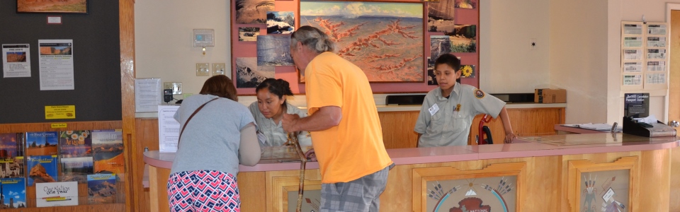 SYEP Volunteer helping visitors