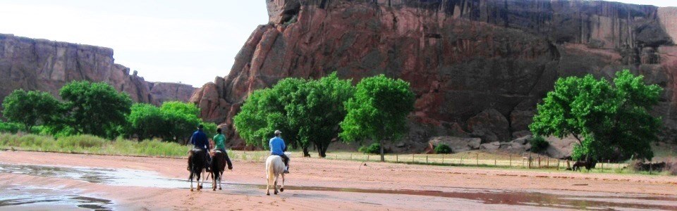 Visitors on horseback tour