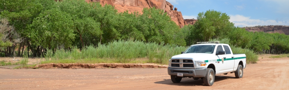 On patrol in the canyon