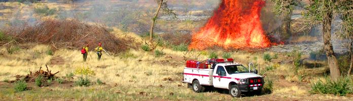 Control burn of brush piles Control burn of brush piles