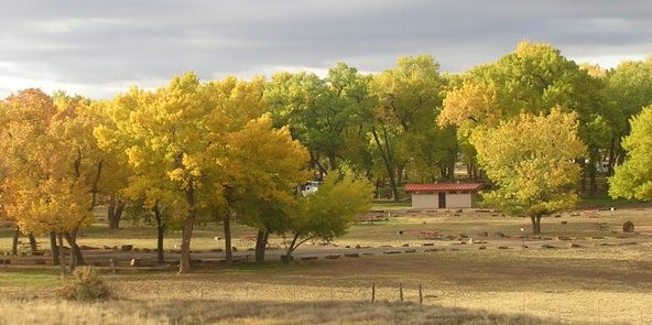 cottonwood campground